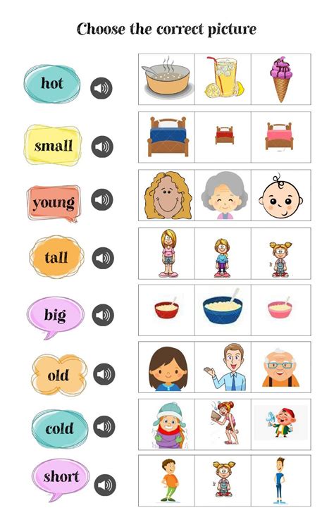 Opposites interactive and downloadable worksheet. You can do the ...