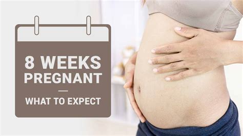 8 Week Pregnant - What to Expect? - YouTube