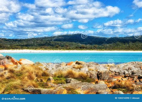 The Gardens Beaches Along the Bay of Fires Stock Photo - Image of ...