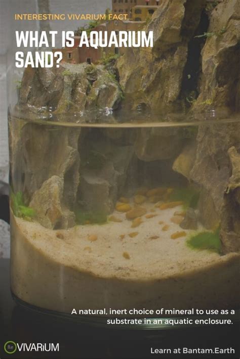 Aquarium Sand: The Most Definitive Guide | Bantam.Earth