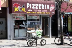 Eating In Translation: Xochil Pizzeria