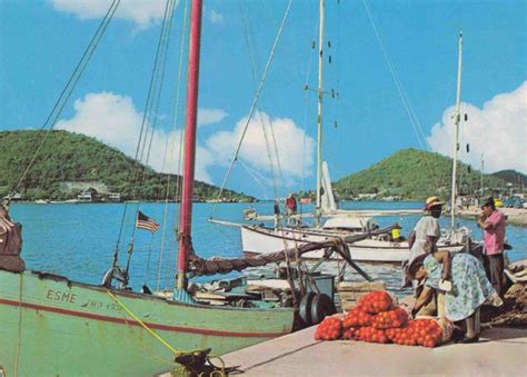 Are You Curious about the History of the Virgin Islands? - 🌺 Virgin Islands History