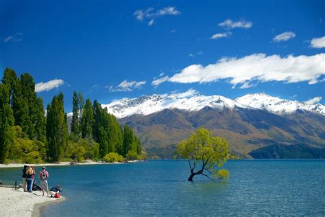 Lake Wanaka and Tree in Summer | Stephen Murphy | Flickr