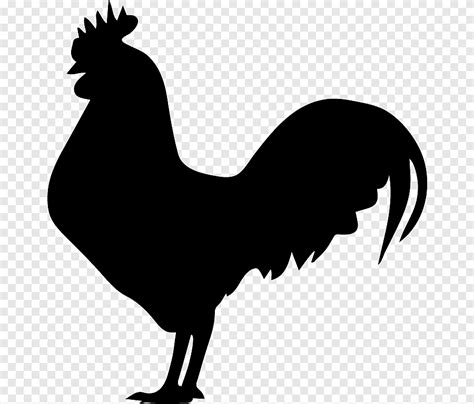 Rooster Chicken Silhouette, rooster, animals, galliformes png | PNGEgg