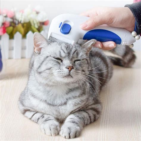 [SALE] Electric Flea Comb For Cats