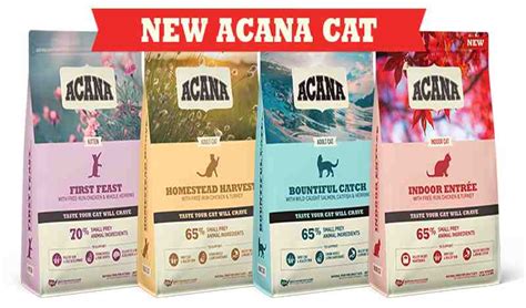 Is Acana Cat Food Good? Best 5 Health Benefits of Acana Cat Food ...