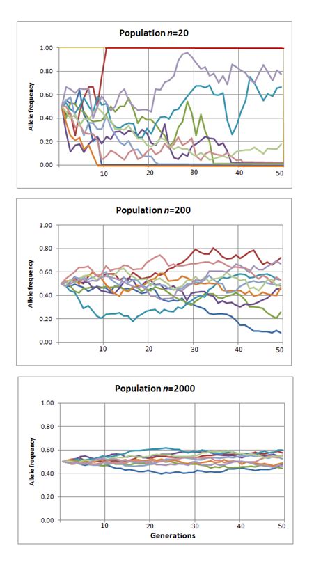 Wright-Fisher Simulation of Genetic Drift using R - Stack Overflow