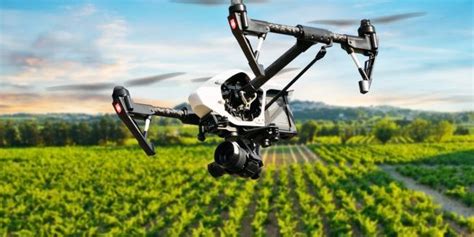 The benefits of drones in agriculture – Virginia Tech India