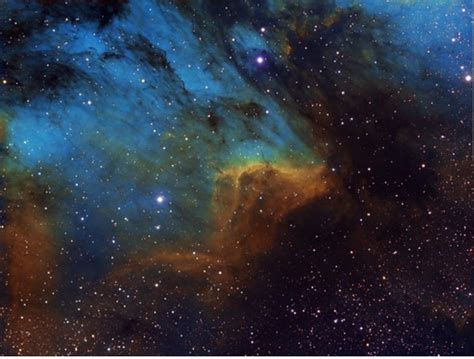 Pelican Nebula : r/astrophotography