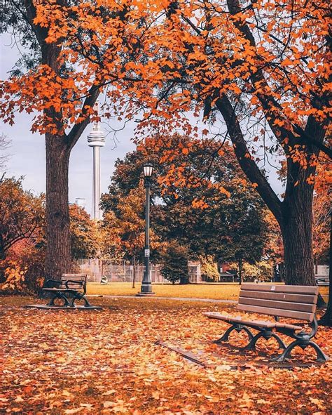 Autumn wonderland ~ Toronto, Canada Photo: @jayeffex Congrats! Founders ...