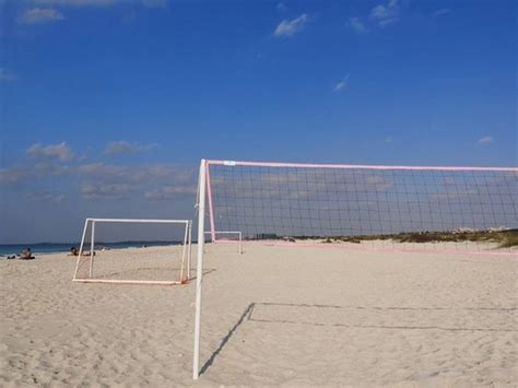 Top 6 Things to Do in Saadiyat Beach Abu Dhabi