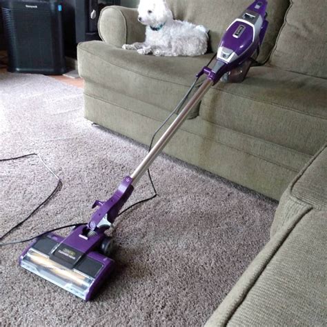 Best Shark Vacuum for Pet Hair (2020) - Hardwood Floors and Carpet! We ...