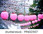 Cherry Blossom Festival Free Stock Photo - Public Domain Pictures