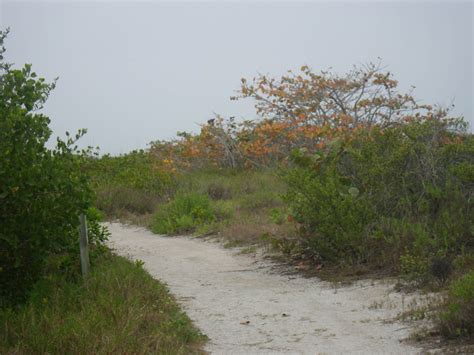 Cayo Costa State Park | The Dyrt