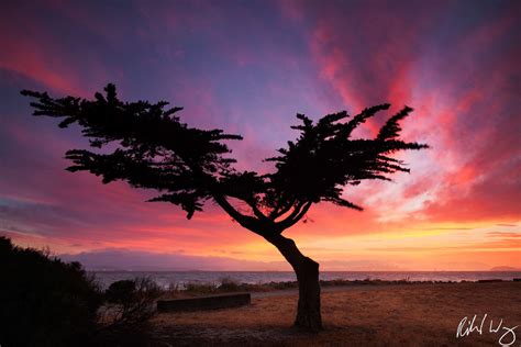 Los 10 fotógrafos de naturaleza más influyentes de todos los tiempos ...