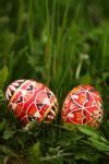 Easter Egg Hunt Free Stock Photo - Public Domain Pictures