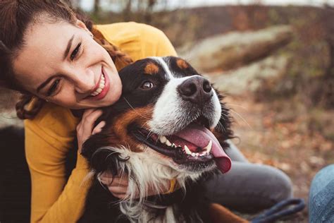 Is It OK to Hug Your Dog? | Daily Paws