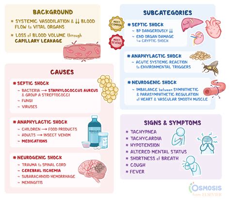 Distributive Shock: What Is It, Signs, Treatment, and More | Osmosis