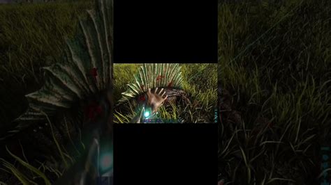 Dimetrodon Taming Guide | Ark Survival Evolved - YouTube