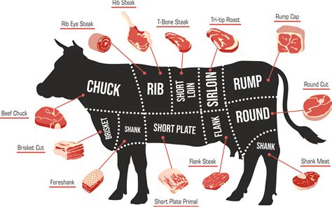 The [Definitive] Guide to Beef Cuts: All You Need to Know