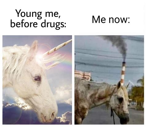 *in SpongeBob narrator voice* 20 years later... : r/drugmemes