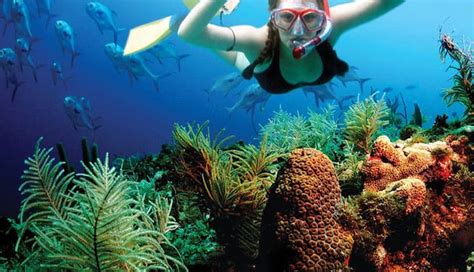 8 Best Snorkeling Spots In Cancun - Globo Surf