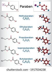 50 Propylparaben Structure Images, Stock Photos & Vectors | Shutterstock