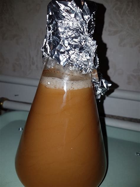 Yeast starter | Make Beer at Home Forums | Brewer's Friend