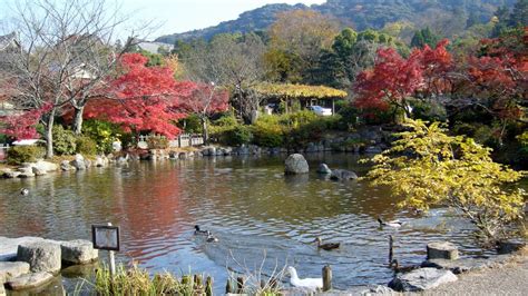 Maruyama Park「円山公園」/ Kyoto | Nipponderful .com