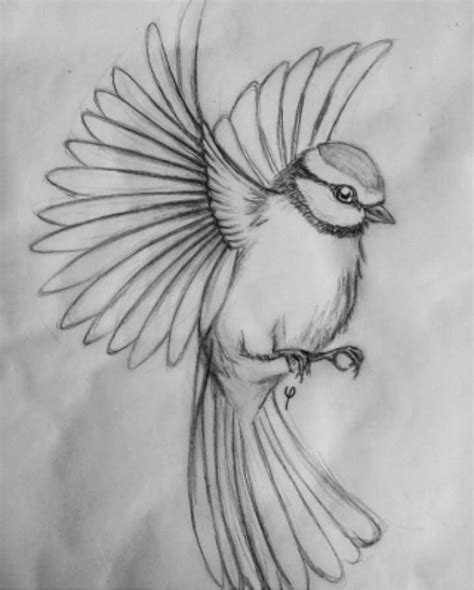 40 Free & Easy Animal Sketch Drawing Information & Ideas - Brighter ...