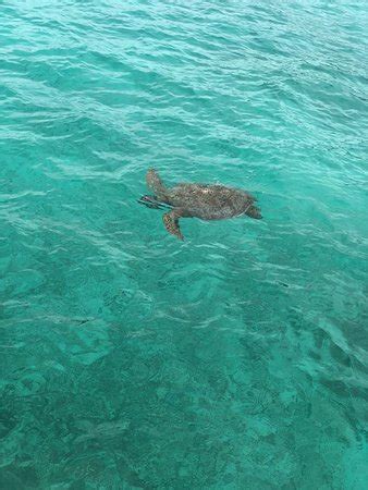 Lifou Island - 2020 All You Need to Know BEFORE You Go (with Photos) - Tripadvisor