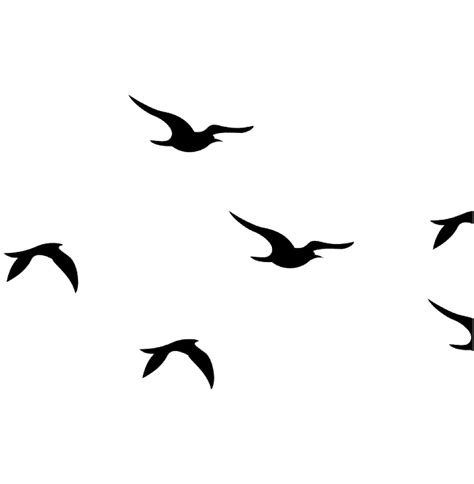 Flying Bird PNG High Quality Image - PNG All | PNG All