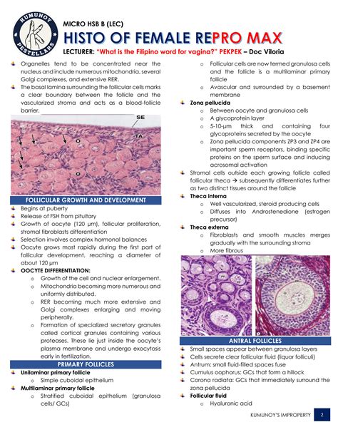 SOLUTION: Histology of female reproductive system - Studypool