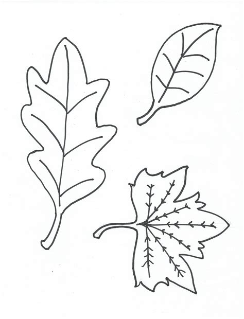 Free Printable Pictures Of Leaves - Free Printable Download
