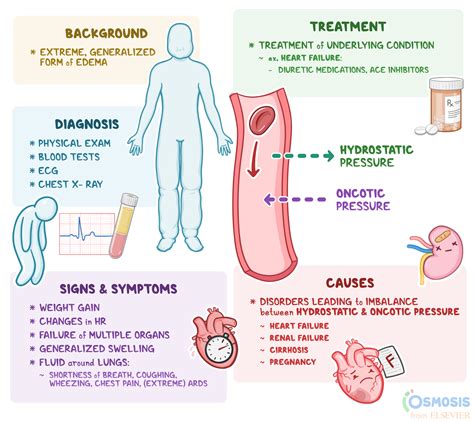 Anasarca: What Is It, Causes, Signs, Symptoms, and More | Osmosis