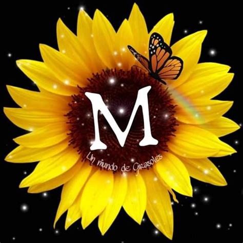 Pin de myriam del en Letra m | Arte del girasol, Ilustración de girasol, Pintura de girasol