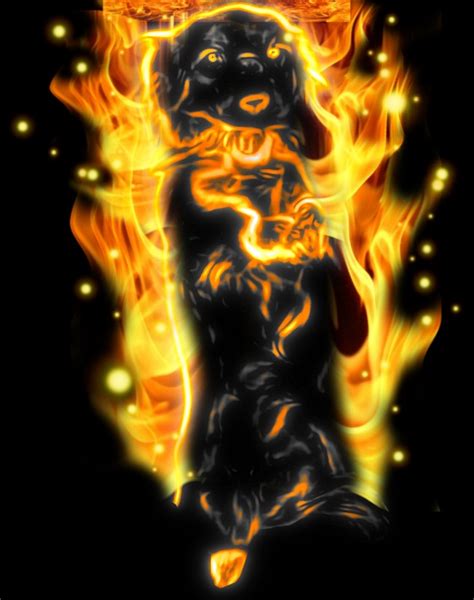 Fire Dog by Soki-AE on DeviantArt