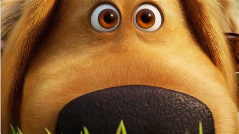 Trailer & Poster For Pixar's DUG DAYS - On Disney+ Sept 1 - CorrienteLatina