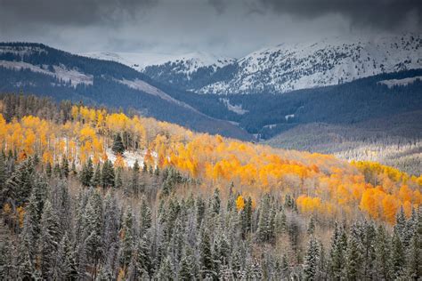 Mountain Aspen Forest Colorado Autumn Landscape Wallpapers - Wallpaper Cave