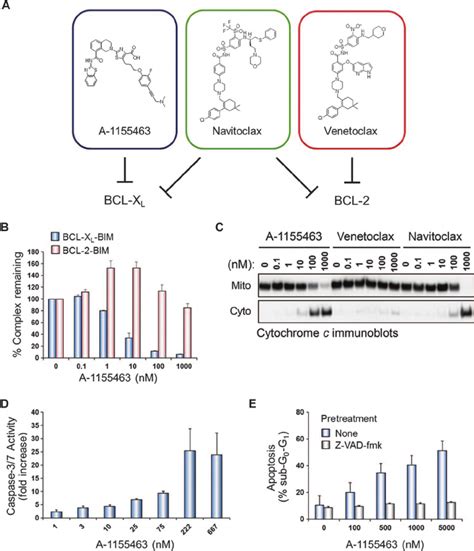 Selective BCL-2 family inhibitors enable the functional dissection of ...