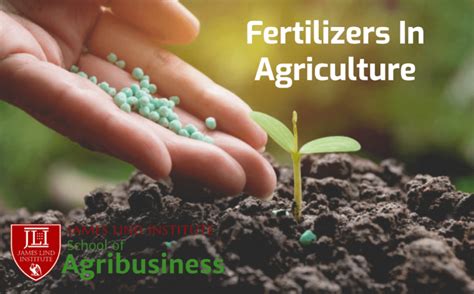 Role of Fertilizers in Agriculture | JLI Blog