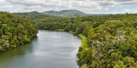 The BEST Daintree National Park Zip line adventures 2024 - FREE ...