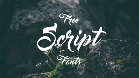 19+ Free Script Fonts | Hipsthetic