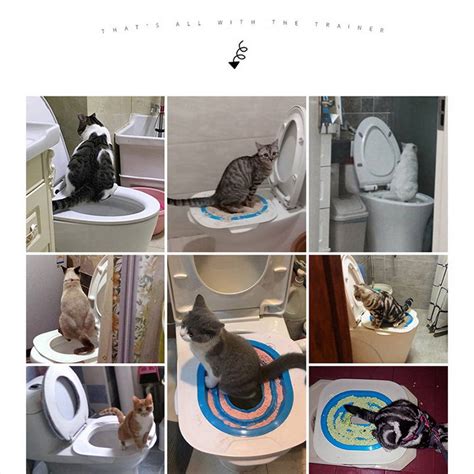 Cat Toilet Training System, Professional Cat Toilet Training Kit - My ...