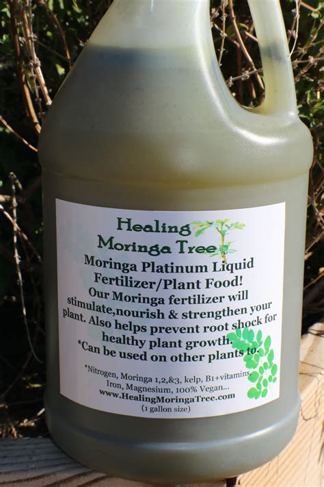 Moringa Plant Fertilizer