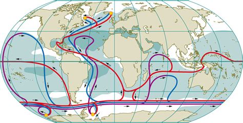 Great ocean currents « World Ocean Review