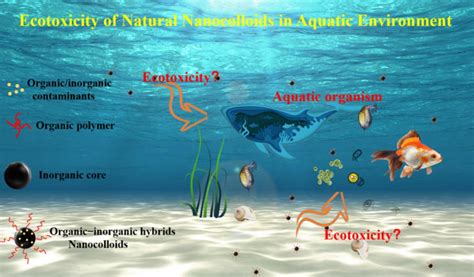 Water | Free Full-Text | Ecotoxicity of Natural Nanocolloids in Aquatic Environment