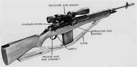 M21 Ebr Sniper Rifle