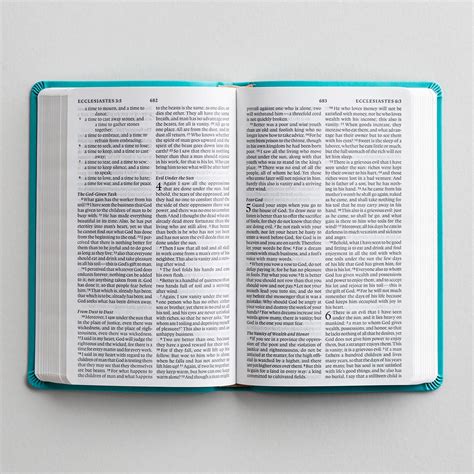 ESV Large Print Value Thinline Bible