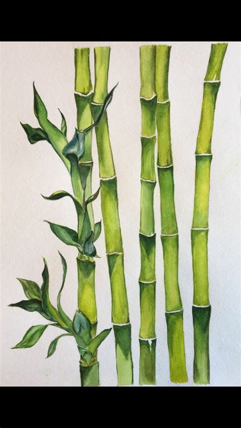 Pin by Fameyt on Pinturas | Nature art prints, Bamboo art, Bamboo drawing